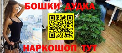 молекула духа Краснознаменск